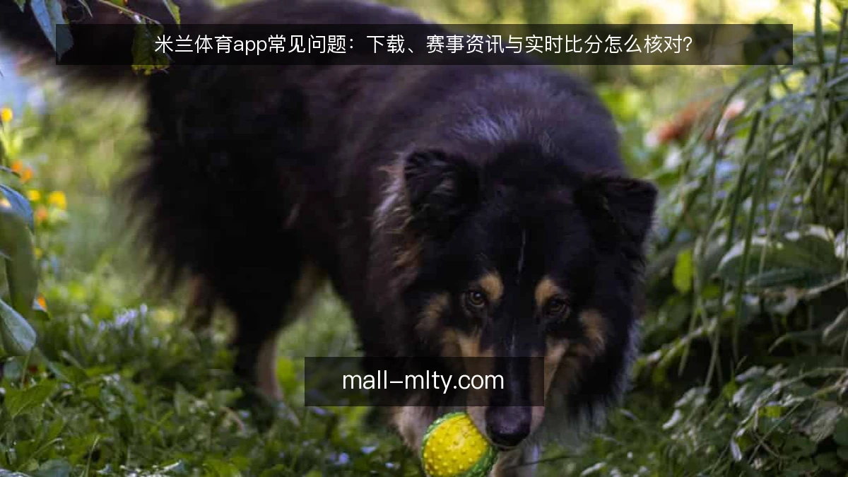 米兰体育app常见问题:下载、赛事资讯与实时比分怎么核对?