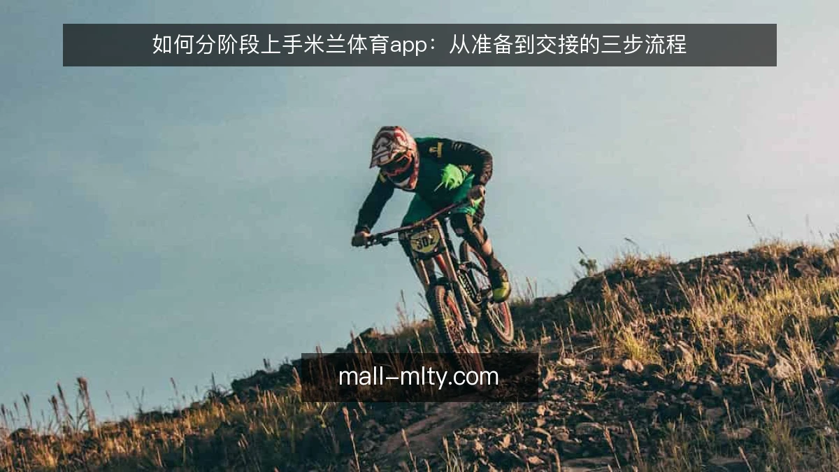 如何分阶段上手米兰体育app：从准备到交接的三步流程