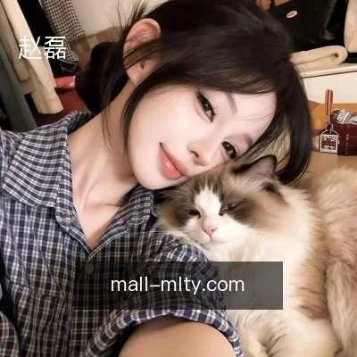 赵磊